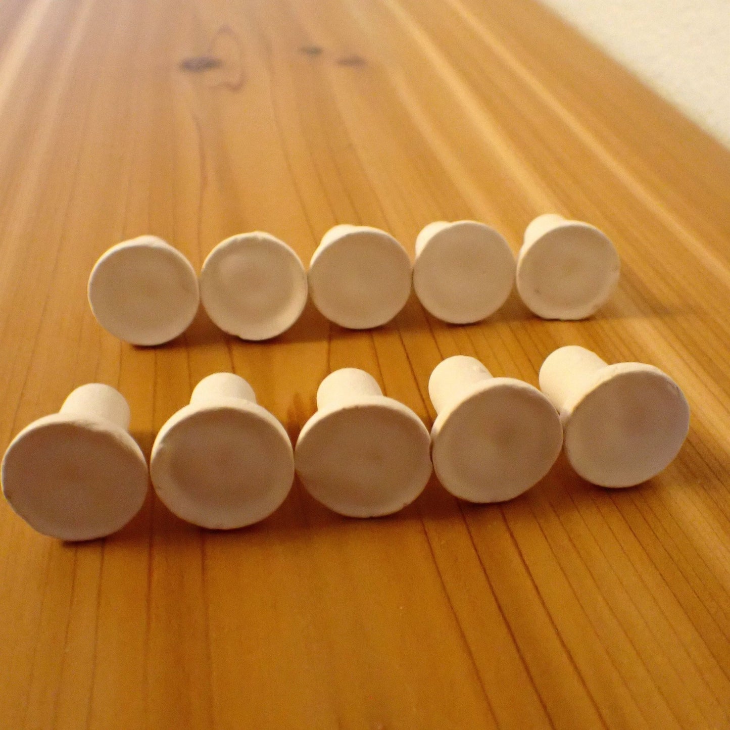 Small Frag Plug, 7/8th inch dry goods coral frag for reef aquarium