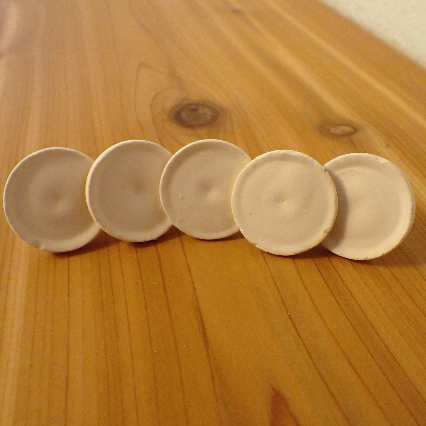 Large Frag Plug, 1.25 inch dry goods coral frag for reef aquarium